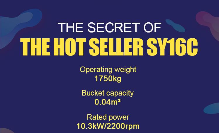 THE SECRET OF THE HOT SELLER SY16C
